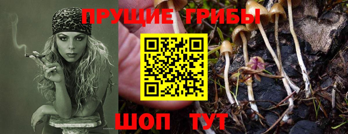 Галлюциногенные грибы Psilocybe  Вход с VPN  Псилоцибиновые грибы Magic Shrooms  Нальчик 